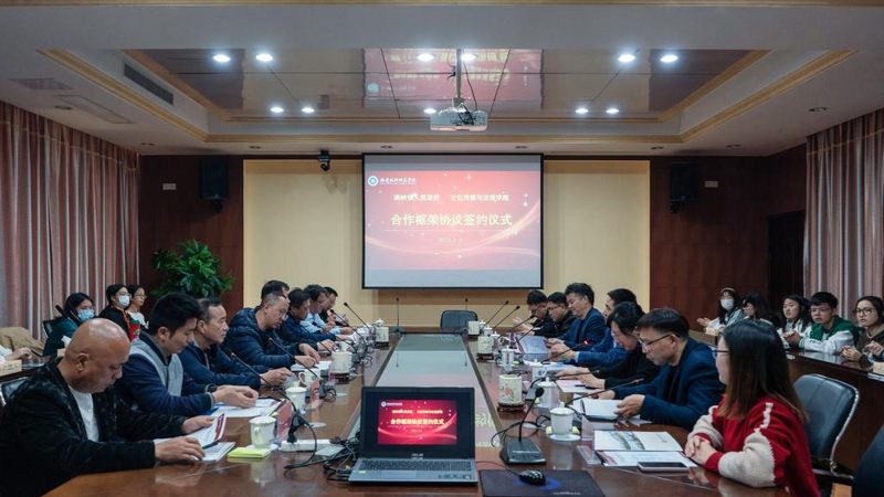 成都抖音媒介投放报价：揭秘背后的逻辑与策略